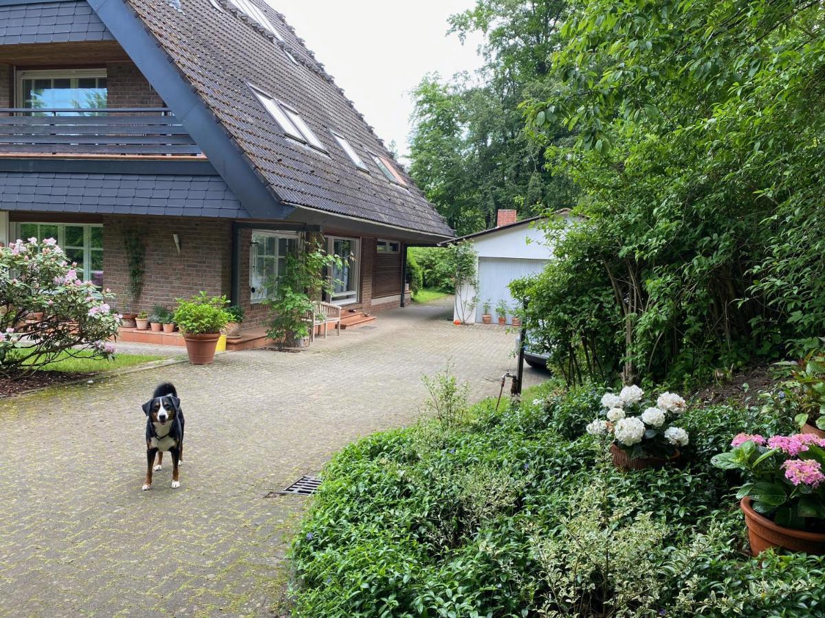 Triangel Apartment Schmilau Luaran gambar